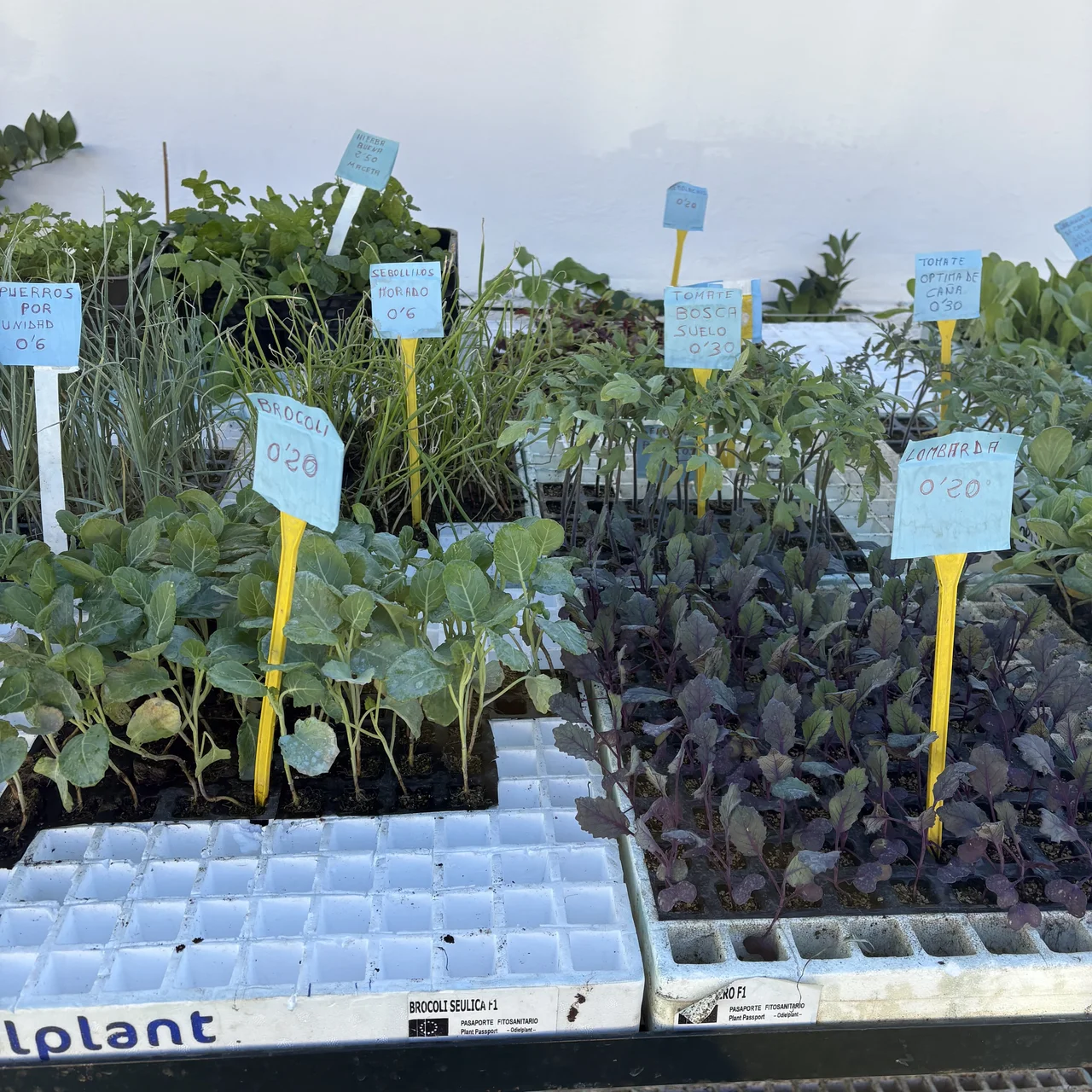 Distribuciones Juan Ángel El Largo e Hijos